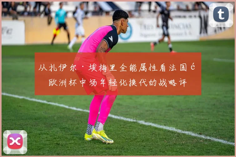 从扎伊尔·埃梅里全能属性看法国队欧洲杯中场年轻化换代的战略评估