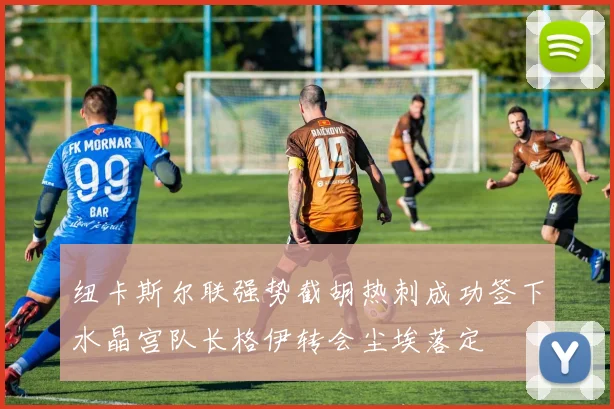 纽卡斯尔联强势截胡热刺成功签下水晶宫队长格伊转会尘埃落定